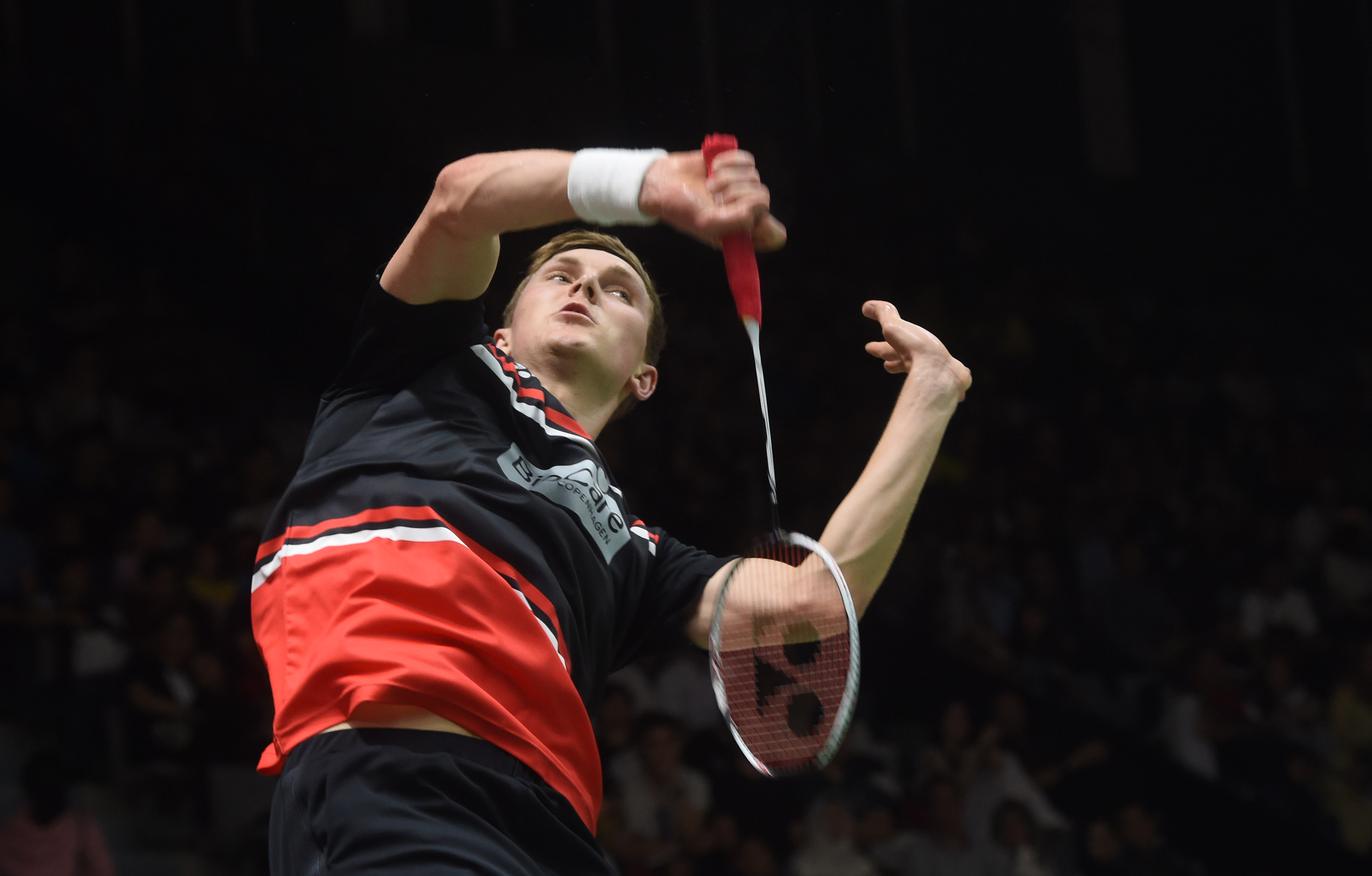 怀念和敬仰 怀念和敬仰